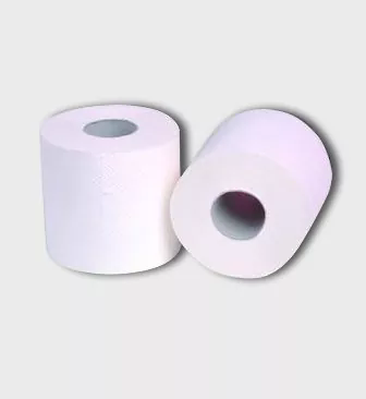 Toilettenpapier: tägliche Notwendigkeiten
