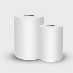 Wie wähle ich das Sanitärpapier für Ihre Bedürfnisse aus?
